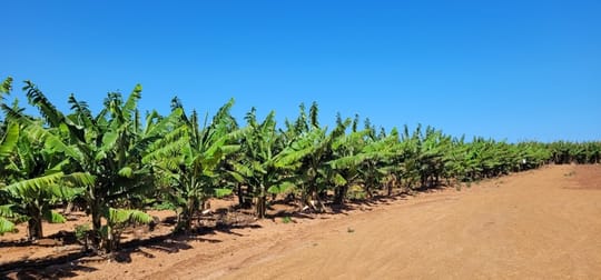 Rural & Farming  business for sale in Carnarvon - Image 2