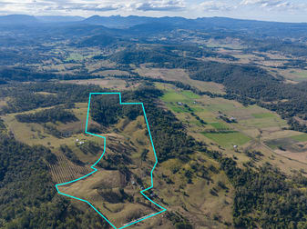 151 Moras Road Rock Valley NSW 2480 - Image 1