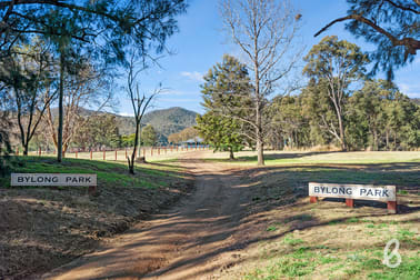 1949 Martindale Road Martindale NSW 2328 - Image 3