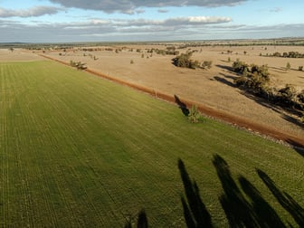 465 Quilties Corner Road, Buddigower West Wyalong NSW 2671 - Image 2