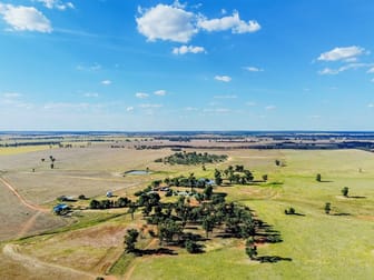 695 Quilties Corner Road West Wyalong NSW 2671 - Image 1