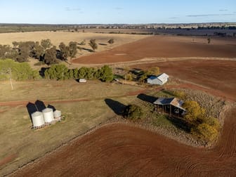 695 Quilties Corner Road West Wyalong NSW 2671 - Image 2