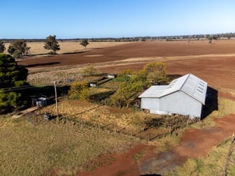 695 Quilties Corner Road West Wyalong NSW 2671 - Image 3