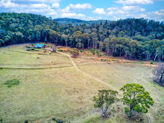 135 Jimmy Jimmy Road Rylstone NSW 2849 - Image 3