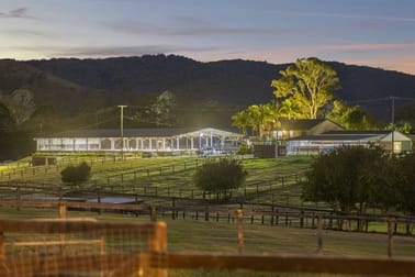 920 Eumundi Kenilworth Road Belli Park QLD 4562 - Image 1