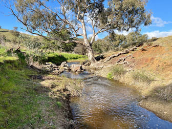 2177 Murringo Road Murringo NSW 2586 - Image 2