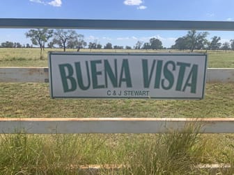 465 Bourbah Rd "Buena Vista" Road Collie NSW 2827 - Image 1