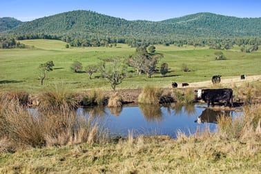 145 Waterhole Gully Road Bonang VIC 3888 - Image 3