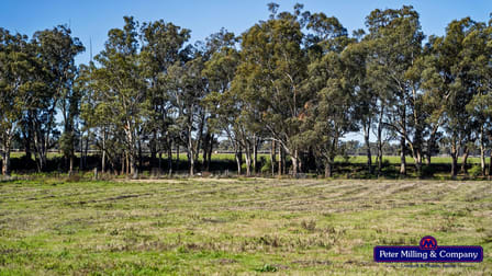 133R Narromine Road Dubbo NSW 2830 - Image 3