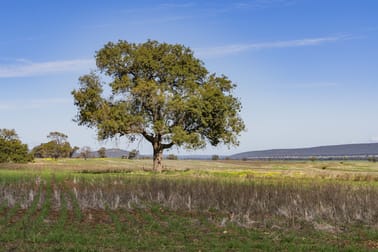 Barellan Road Colinroobie NSW 2700 - Image 2