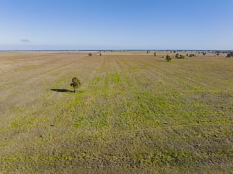 Newell Highway Narrandera NSW 2700 - Image 2