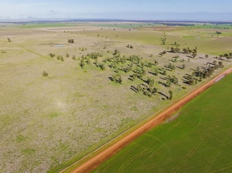 Newell Highway Narrandera NSW 2700 - Image 1