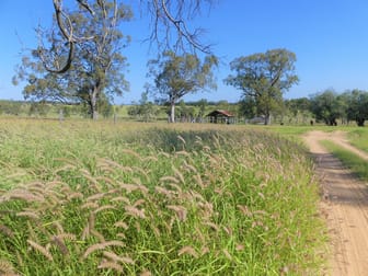 'Omeo' 1183 Westgrove Road Injune QLD 4454 - Image 1