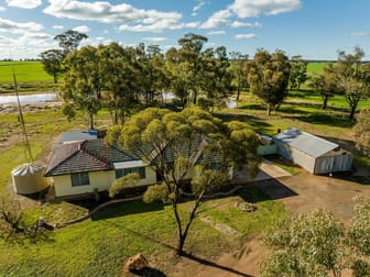 795 Younga Plains Rd West Wyalong NSW 2671 - Image 2
