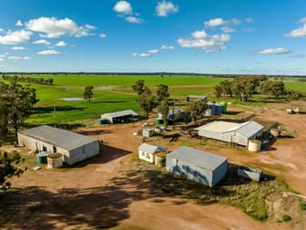 795 Younga Plains Rd West Wyalong NSW 2671 - Image 3