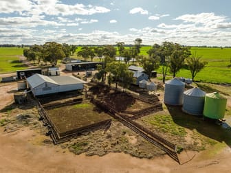 795 Younga Plains Rd West Wyalong NSW 2671 - Image 1