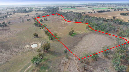 1359 Saddleback Road Forbes NSW 2871 - Image 2