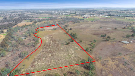 1359 Saddleback Road Forbes NSW 2871 - Image 3