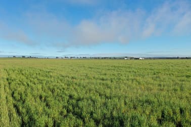9989/5799/ Quairadng South Road Quairading WA 6383 - Image 2