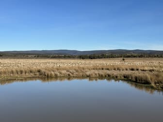 . Tasman Highway Swansea TAS 7190 - Image 3