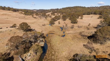 "Kangaburra" 150 Evans Road Nimmitabel NSW 2631 - Image 3