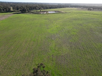 'Kanembo' 13166 Newell Highway West Wyalong NSW 2671 - Image 1