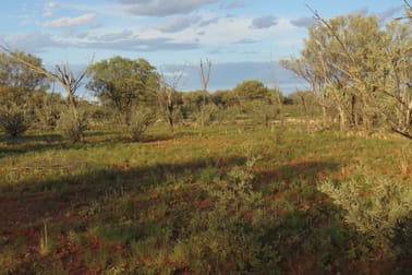 'Yetholme Station'/. Garden Vale Road Wanaaring NSW 2840 - Image 1