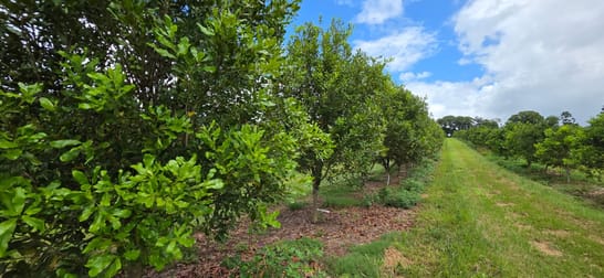 1808 Dunoon Road Dunoon NSW 2480 - Image 1