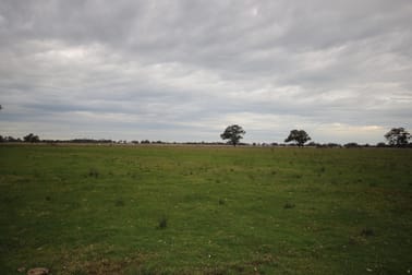95 Doolan Road Kyabram VIC 3620 - Image 3