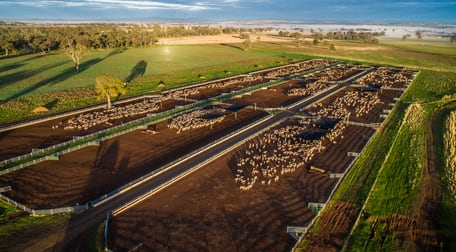 3077 The Escort Way Boree NSW 2800 - Image 2