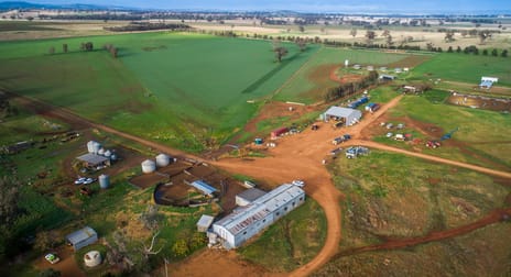 3077 The Escort Way Boree NSW 2800 - Image 3