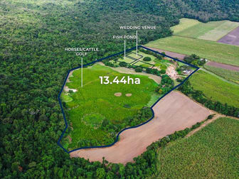 445 Gray Road Green Hill QLD 4865 - Image 2