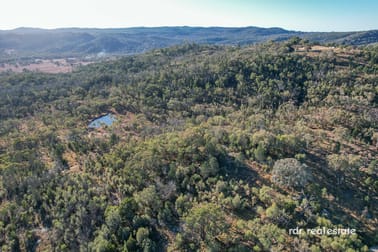 Lot 21 Wearnes Road Bundarra NSW 2359 - Image 2