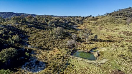 563 Gowan Road Gowan NSW 2795 - Image 2
