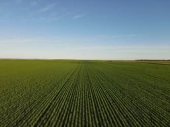 Click to view all images 'Kirks' Burt Road Clements Gap SA 5523 - Image 1