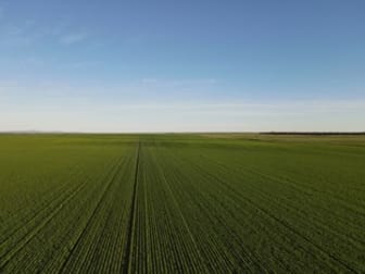 Click to view all images 'Kirks' Burt Road Clements Gap SA 5523 - Image 2