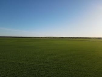 Click to view all images 'Kirks' Burt Road Clements Gap SA 5523 - Image 3