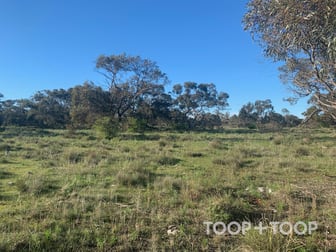 25/ Kulde Road Tailem Bend SA 5260 - Image 1