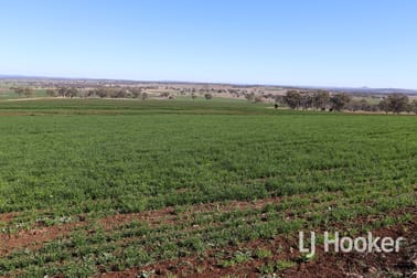 310 Burts Lane Inverell NSW 2360 - Image 1
