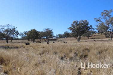310 Burts Lane Inverell NSW 2360 - Image 2