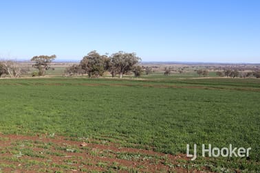 310 Burts Lane Inverell NSW 2360 - Image 3