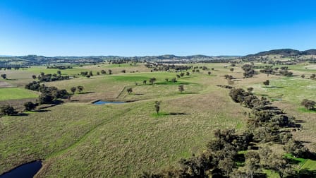 802 Pine Mount Road Woodstock NSW 2793 - Image 3