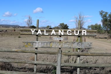 49 Kelvinhaugh-Yalangur Road Yalangur QLD 4352 - Image 2