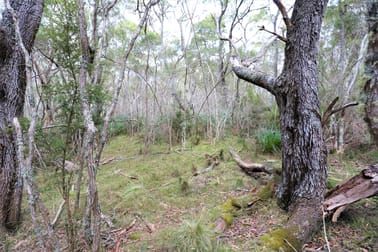 Lot 113 Big Jack Mountain Road Cathcart NSW 2632 - Image 1