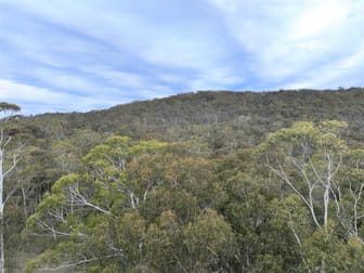 Lot 113 Big Jack Mountain Road Cathcart NSW 2632 - Image 2