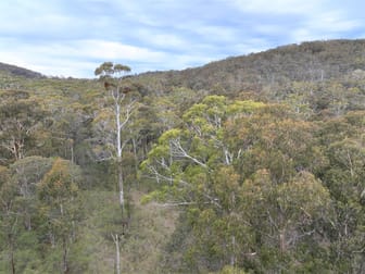 Lot 113 Big Jack Mountain Road Cathcart NSW 2632 - Image 3