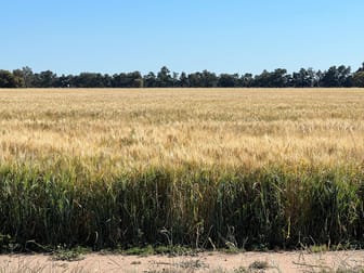 1152 Millears Road Deniliquin NSW 2710 - Image 1
