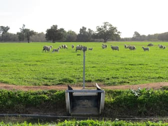 1152 Millears Road Deniliquin NSW 2710 - Image 2