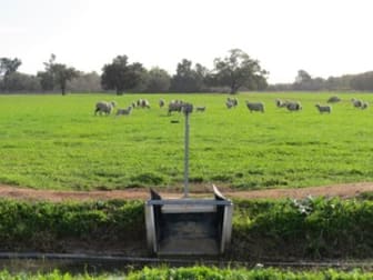 Click to view all images 1152 Millears Road Deniliquin NSW 2710 - Image 2