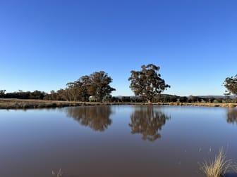 Loch Lomond Road Gooloogong NSW 2805 - Image 3